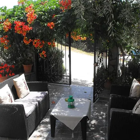 Apollon Appartement Chrysi Ammoudia