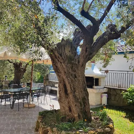 Apollon * Χρυσή Αμμουδιά