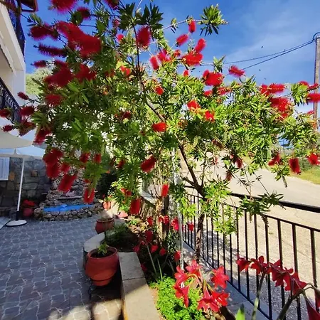 Apollon Διαμέρισμα *