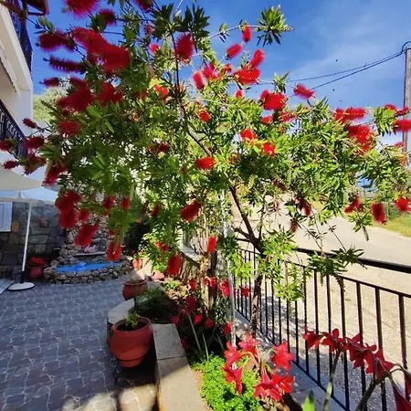 Apollon Apartament *
