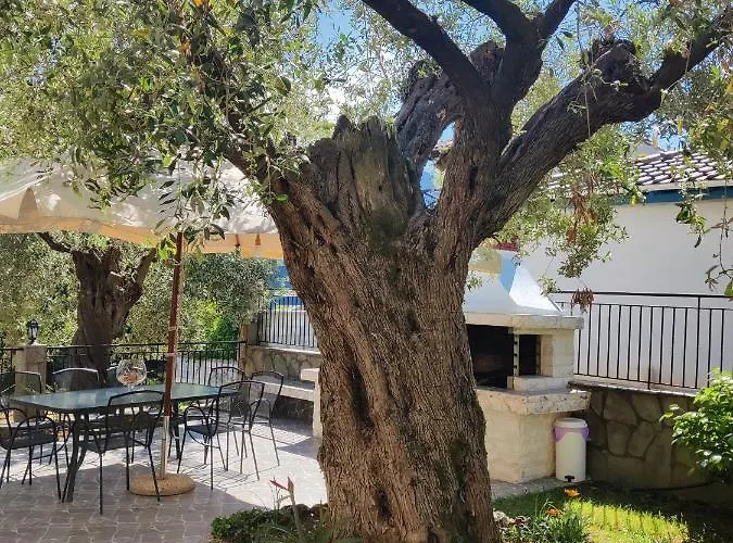 Apollon * Chrysi Ammoudia