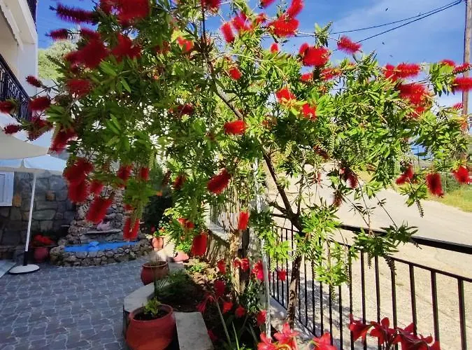 Apollon Apartamento *